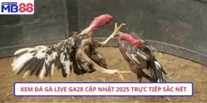 Đá gà MB88