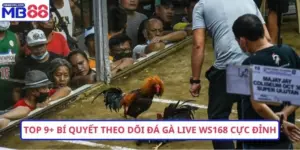 Đá gà MB88