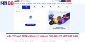 Hướng dẫn