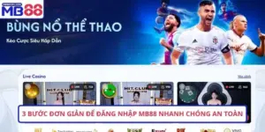 Hướng dẫn