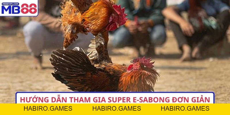5 Điều Cần Biết Về Super E-Sabong Trực Tuyến 2026