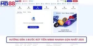 Hướng dẫn