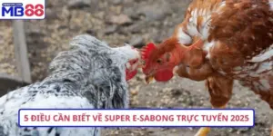 Đá gà MB88