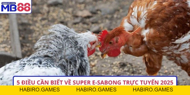 5 Điều Cần Biết Về Super E-Sabong Trực Tuyến 2026