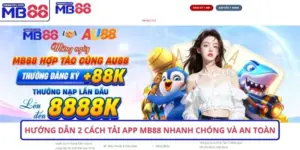 Hướng dẫn