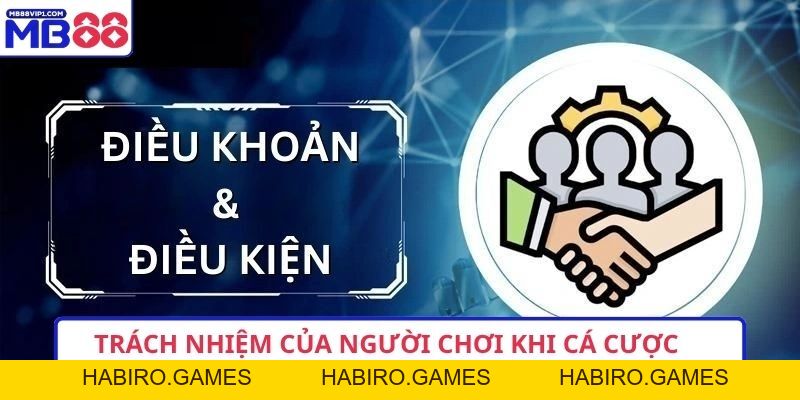 Điều Khoản Điều Kiện MB88 - Yếu Tố Tạo Nên Lòng Tin