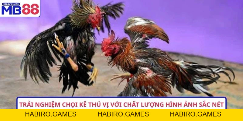 5 Điều Cần Biết Về Super E-Sabong Trực Tuyến 2026